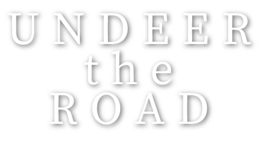 UNDEER the ROAD